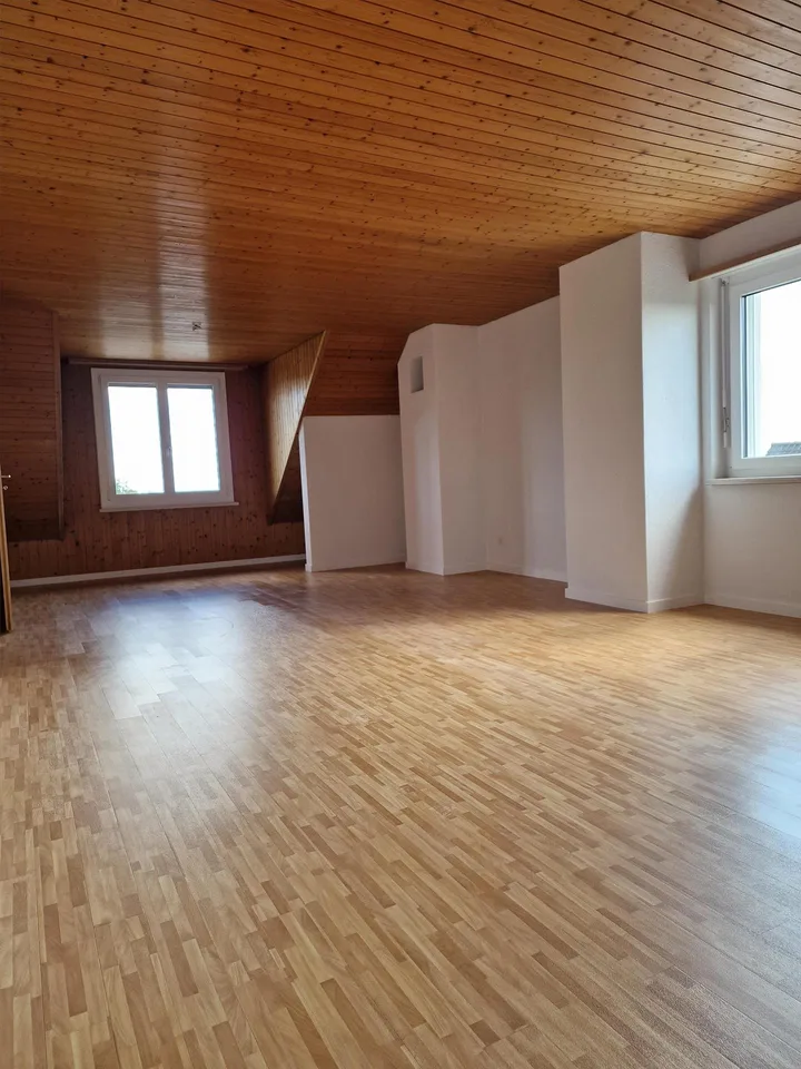 6 Zimmer Attika Wohnung mit Aussicht
