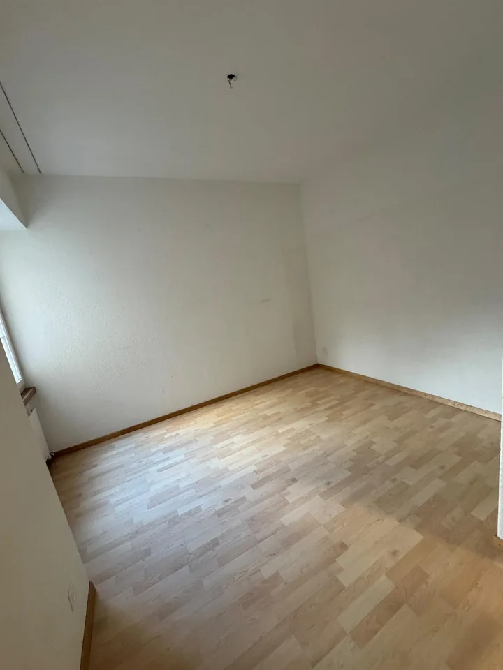 renovierte 2 Zimmer Wohnung