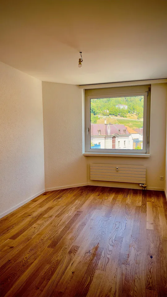 Zentrale und Grosszügige Wohnung