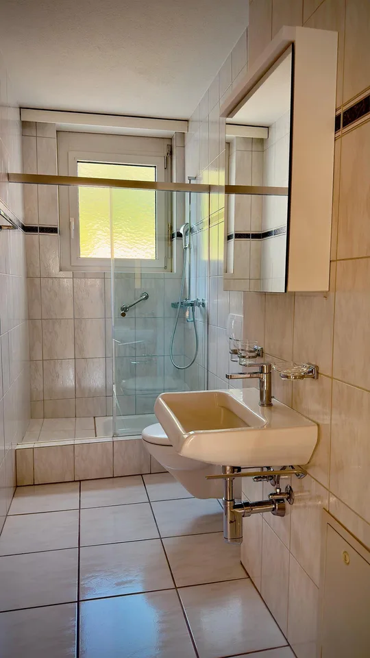Zentrale und Grosszügige Wohnung