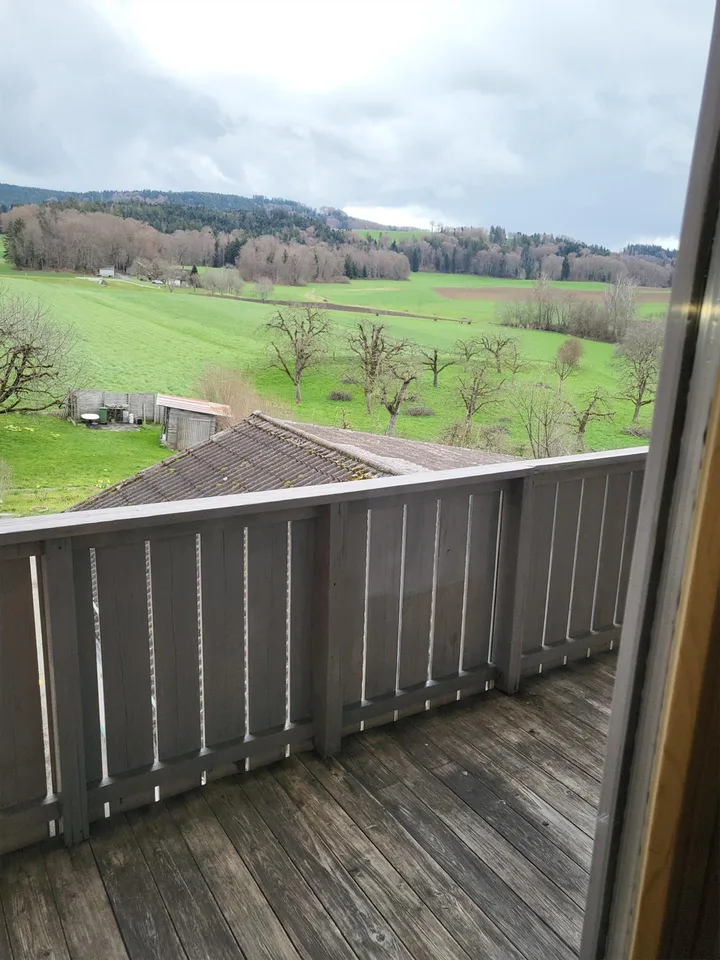Nicht 08/15 – 3.5 Zimmer mit Balkon, Garten und Weitsicht