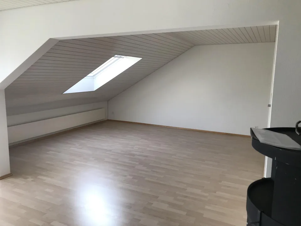 grosse 2 1/2 Zimmer-Wg mit frisch renovierter Küche/Bad