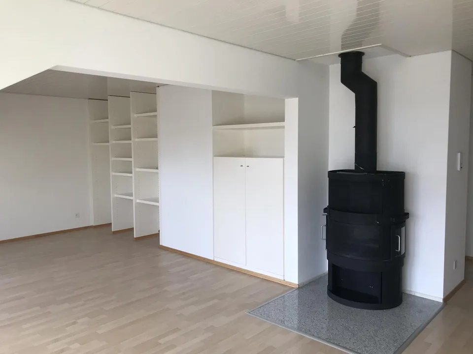 grosse 2 1/2 Zimmer-Wg mit frisch renovierter Küche/Bad