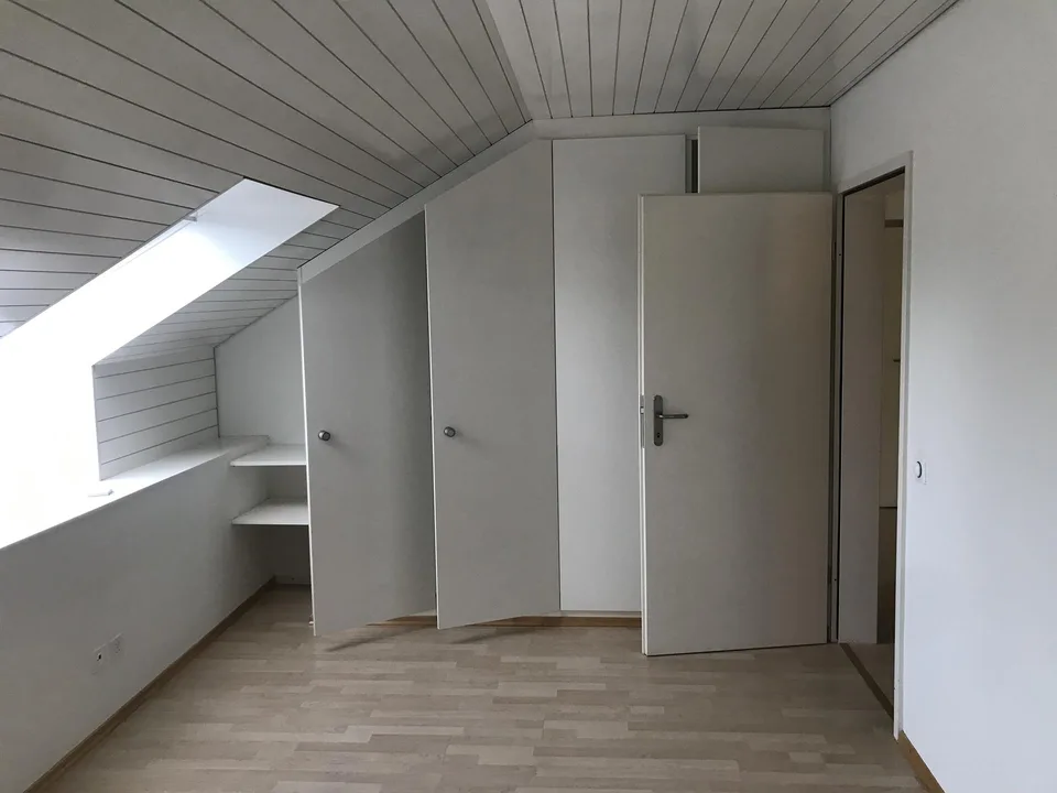 grosse 2 1/2 Zimmer-Wg mit frisch renovierter Küche/Bad