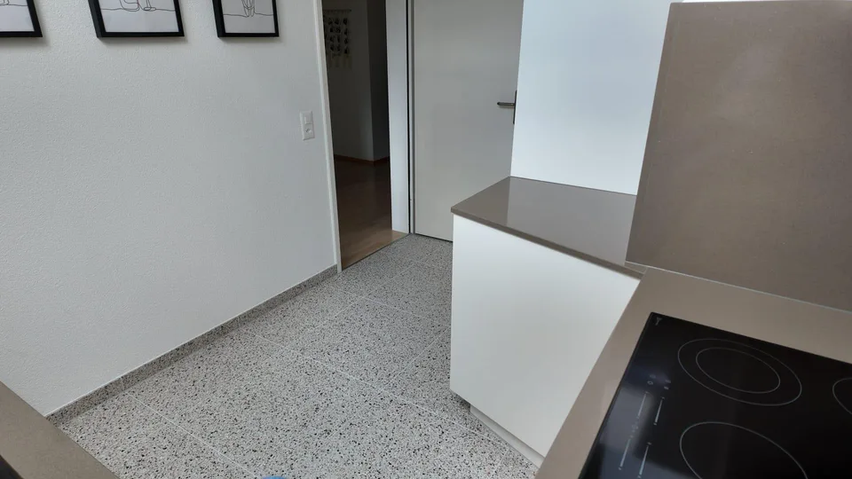 grosse 2 1/2 Zimmer-Wg mit frisch renovierter Küche/Bad