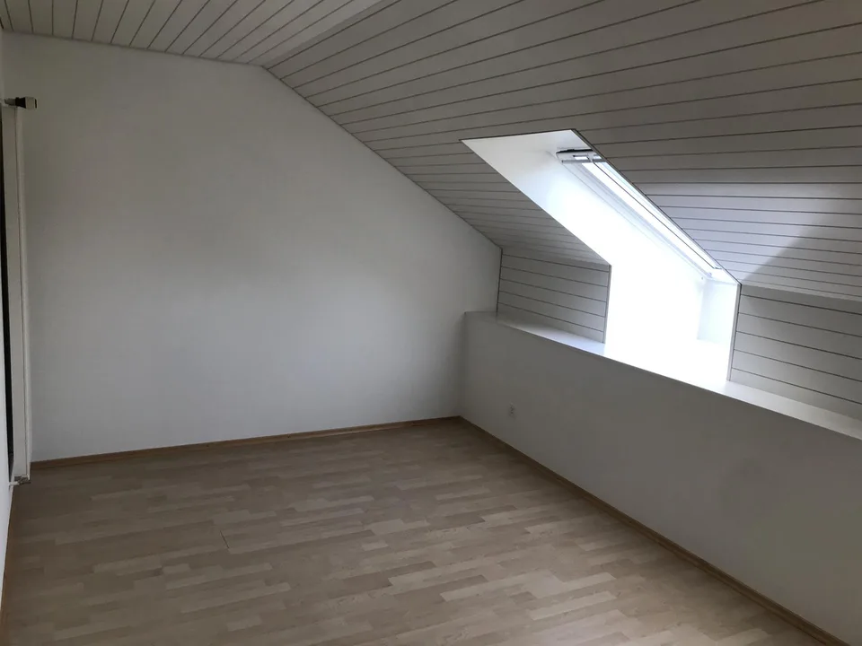 grosse 2 1/2 Zimmer-Wg mit frisch renovierter Küche/Bad