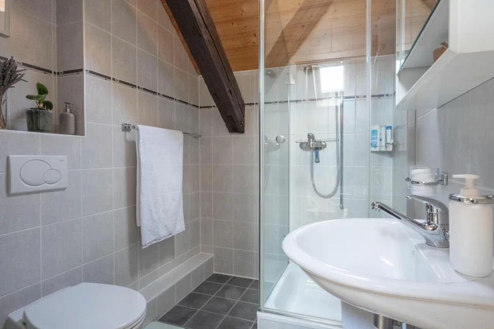 Appartement en attique avec vue lac et vignes