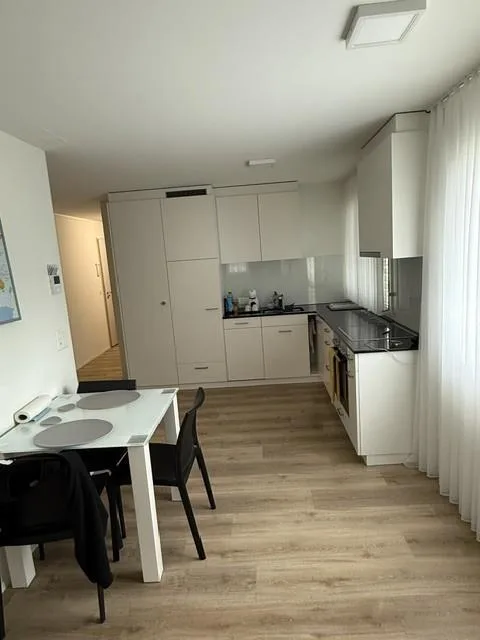 Zu vermieten ab 01.10.2026 Wohnstudio von 54 m2 oder auf Vereinbarung