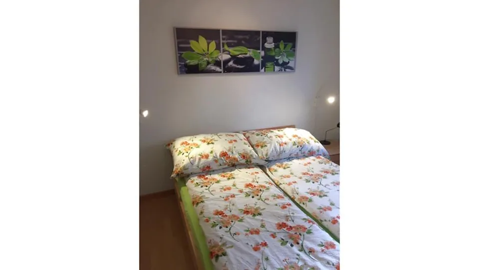 2 ZI-WOHNUNG IN HONDRICH (BE), MÖBLIERT, TEMPORÄR