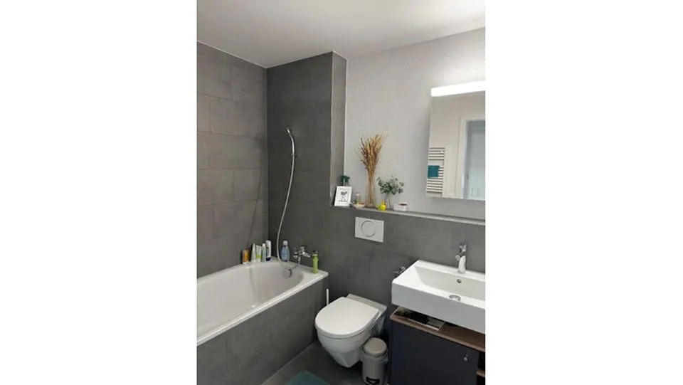 4½ ZI-WOHNUNG IN BERN, MÖBLIERT, TEMPORÄR