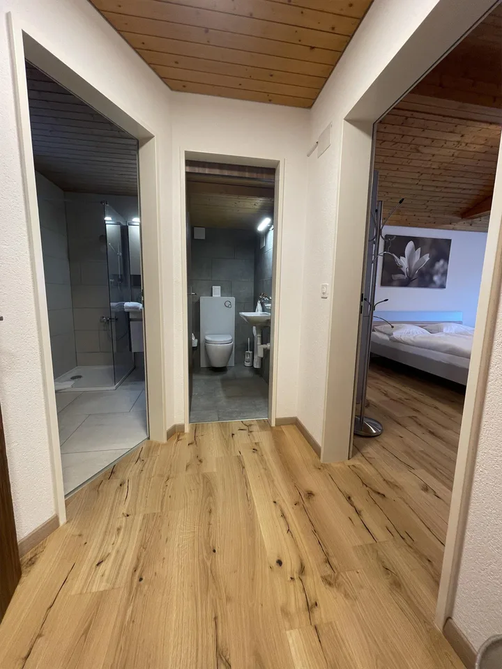 Profitables Hotel Restaurant in Disentis GR