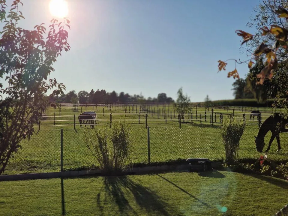 Reserviert! Reitsportimmobilie mit Haus und Reithalle