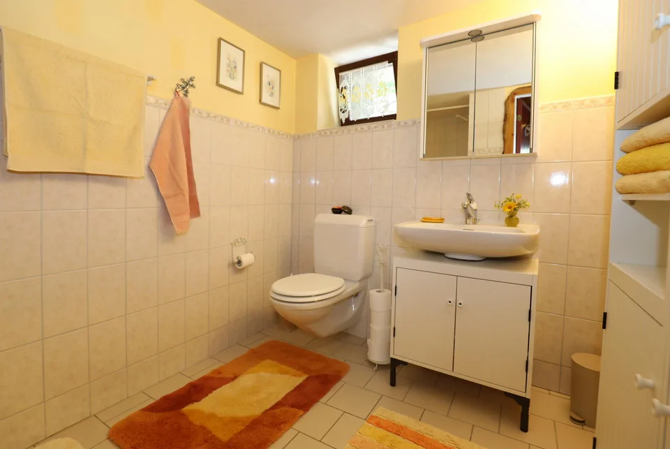 Large comfortable rustico with beautiful panoramic view in Lavizzara