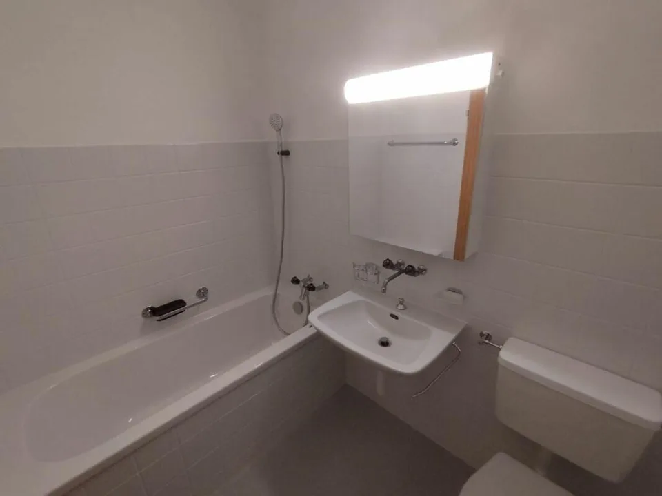 1-bedroom apartment in Binningen