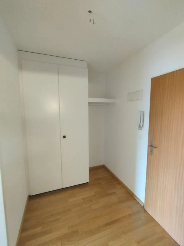 1-bedroom apartment in Binningen