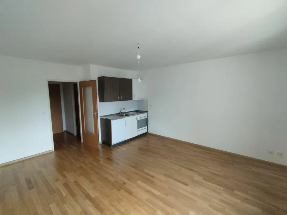 1-bedroom apartment in Binningen