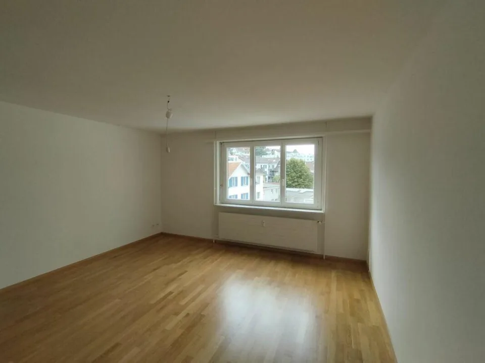 1-bedroom apartment in Binningen