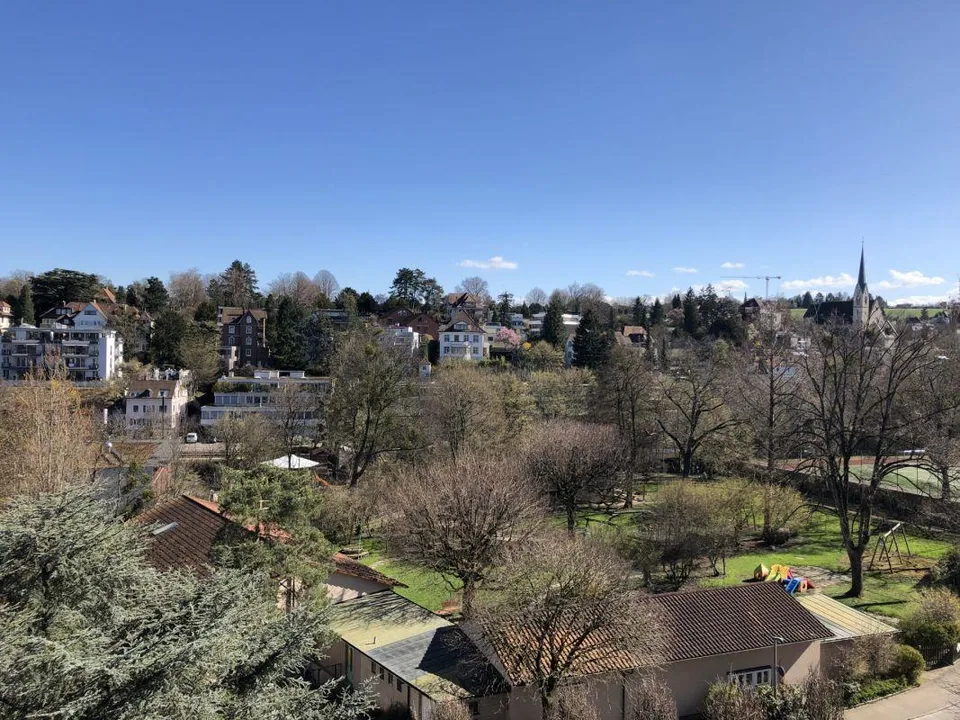 1-bedroom apartment in Binningen