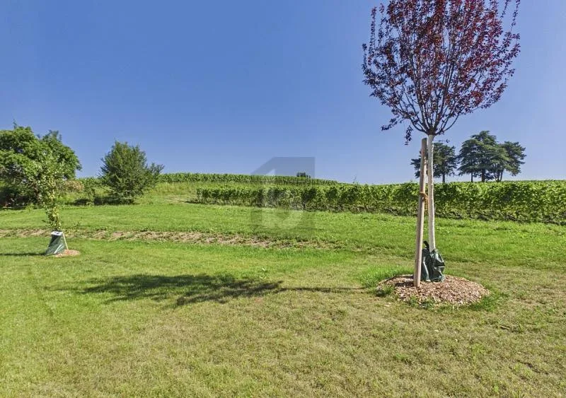 RÉNOVÉE AVEC JARDIN, AU CALME DANS LE VIGNOBLE