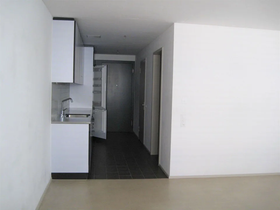 Grosse 3.5-Zimmerwohnung O1.118 in Altstetten