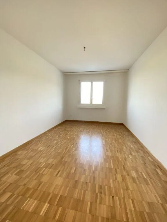 4.5 Zimmerwohnung in Safenwil