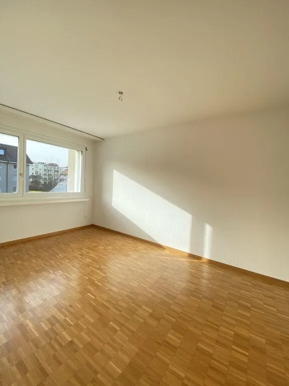 4.5 Zimmerwohnung in Safenwil