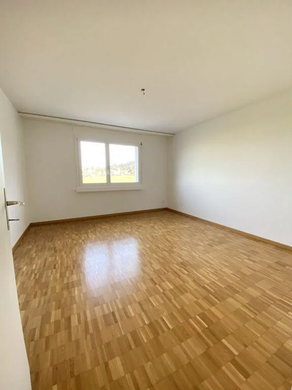 4.5 Zimmerwohnung in Safenwil