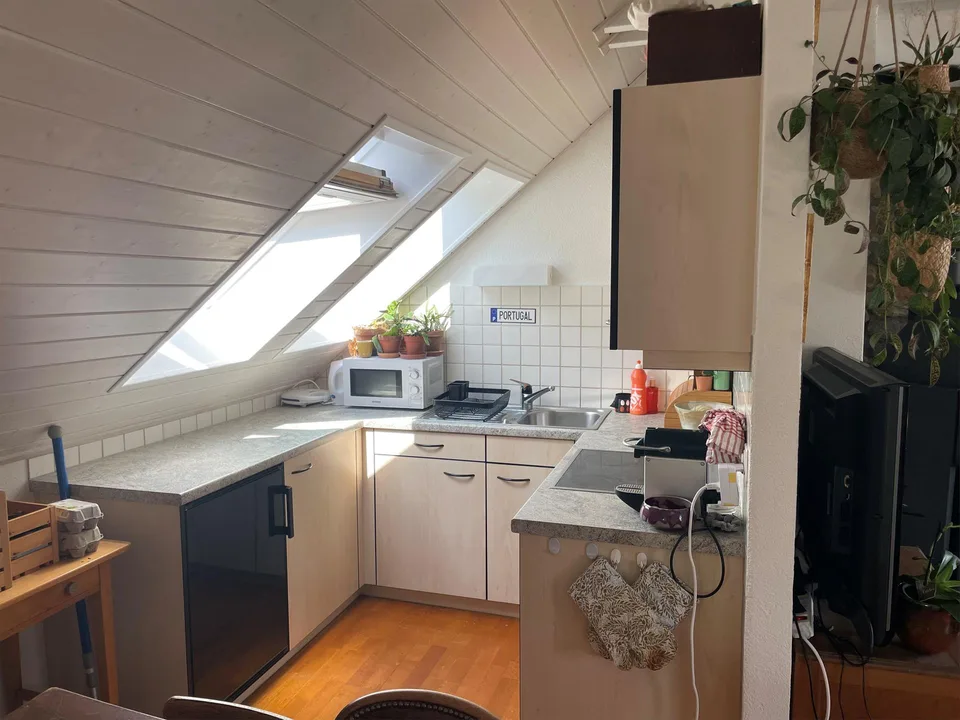 Appartement 2 pièces, 60m2, style loft