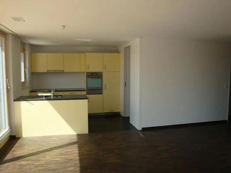 Attic apartment with roof terrace