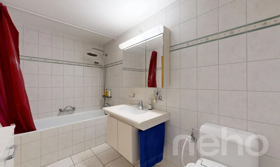 5.5-Zimmer-Reiheneckhaus mit Einliegerwohnung in St. Gallen