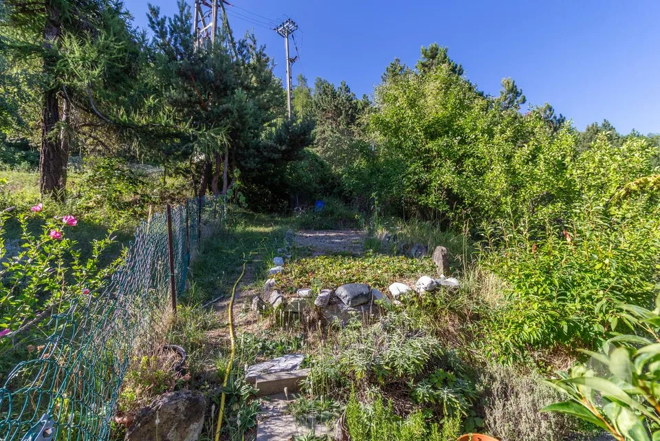 Charming chalet with two apartments, ideal location and view
