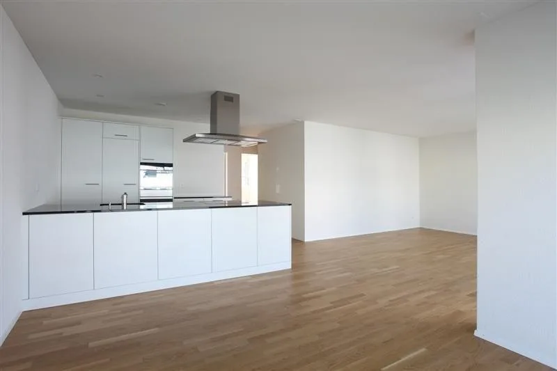 4.5 Zimmer Wohnung