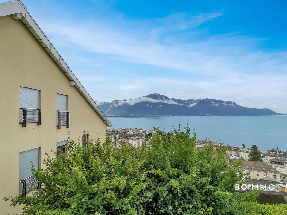 Élégance contemporaine avec vue panoramique