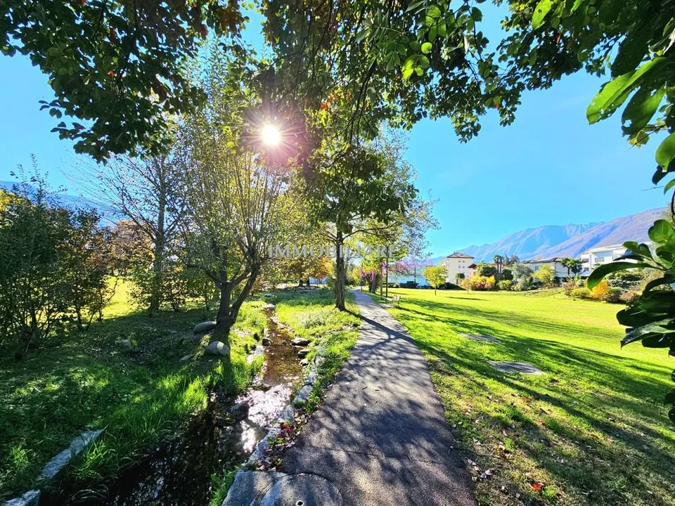 Sonnige Wohnung mit Weitblick ins Grüne – ruhige, zentrale Lage nah öV
