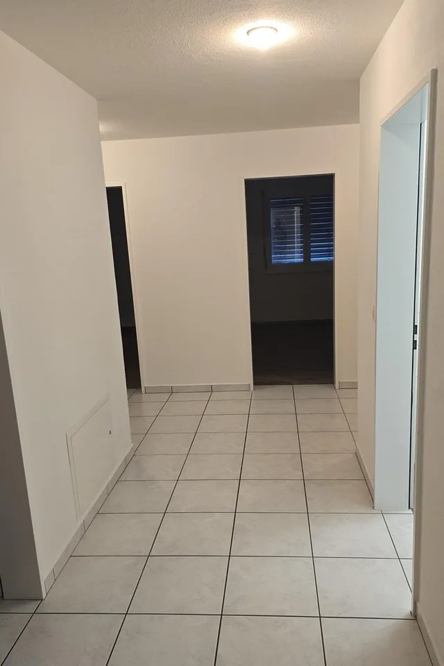 Neu sanierte Wohnung im Zentrum von Schänis