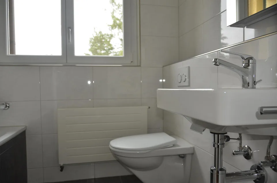 Wohnung in Menziken