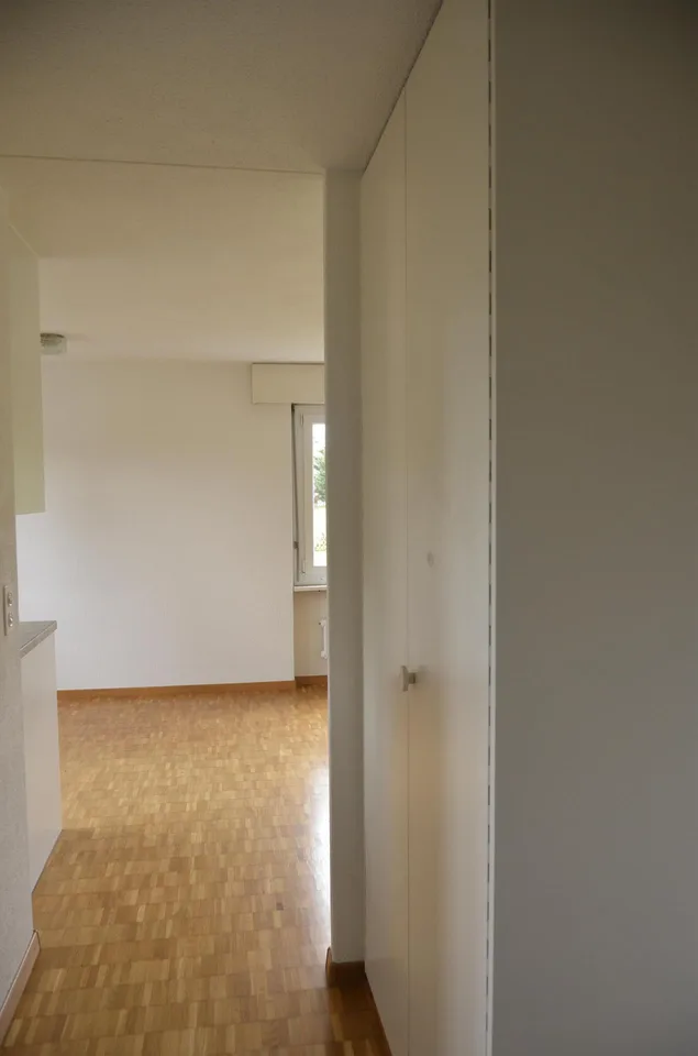 Wohnung in Menziken
