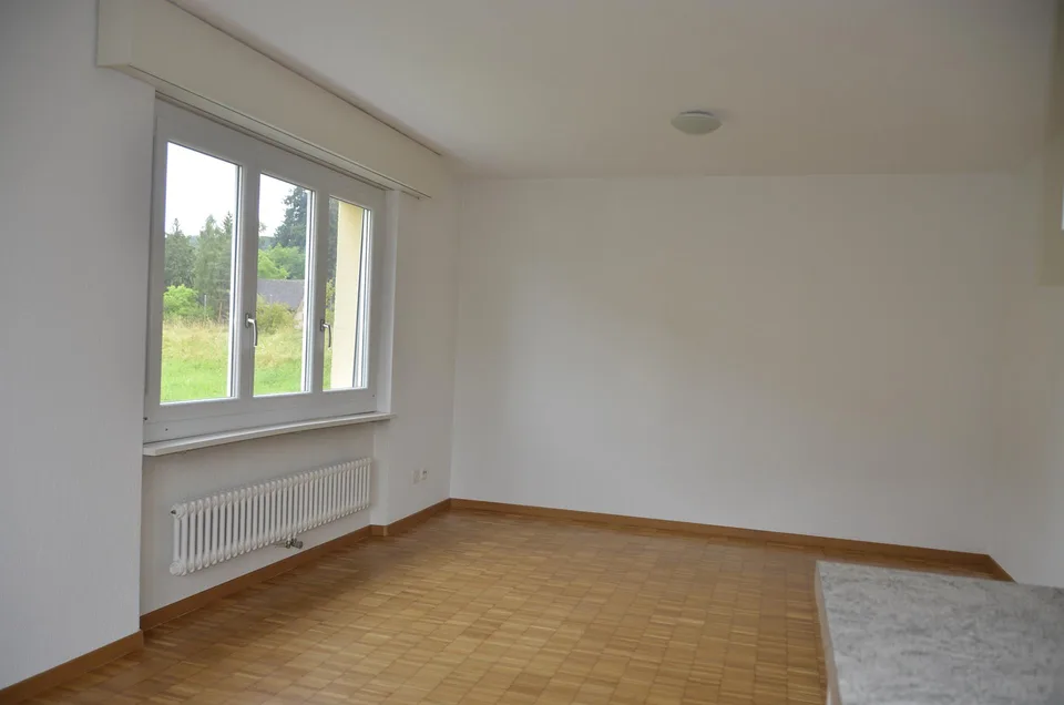 Wohnung in Menziken