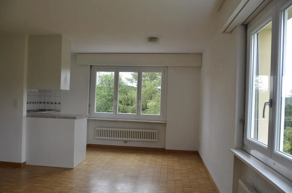 Wohnung in Menziken