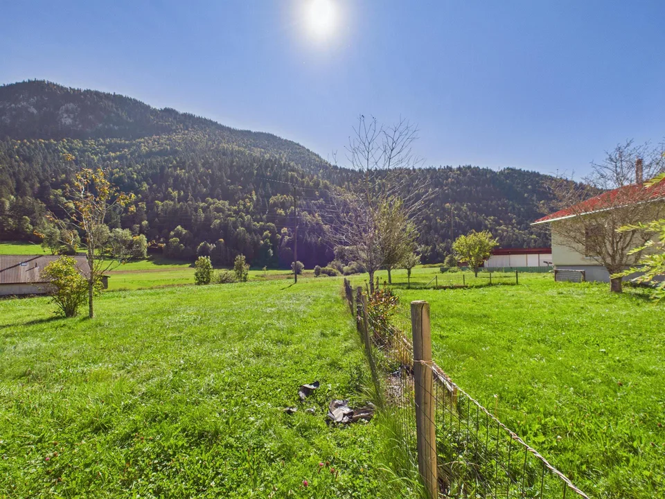 Immeuble de rendement avec 2 appartements, atelier et grand terrain...