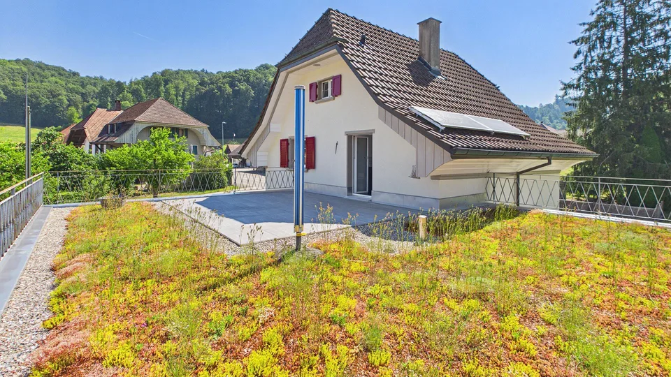 Haus auf grosser Parzelle (1112m2) und XXL-Garage