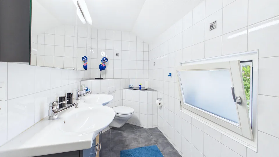 Haus auf grosser Parzelle (1112m2) und XXL-Garage