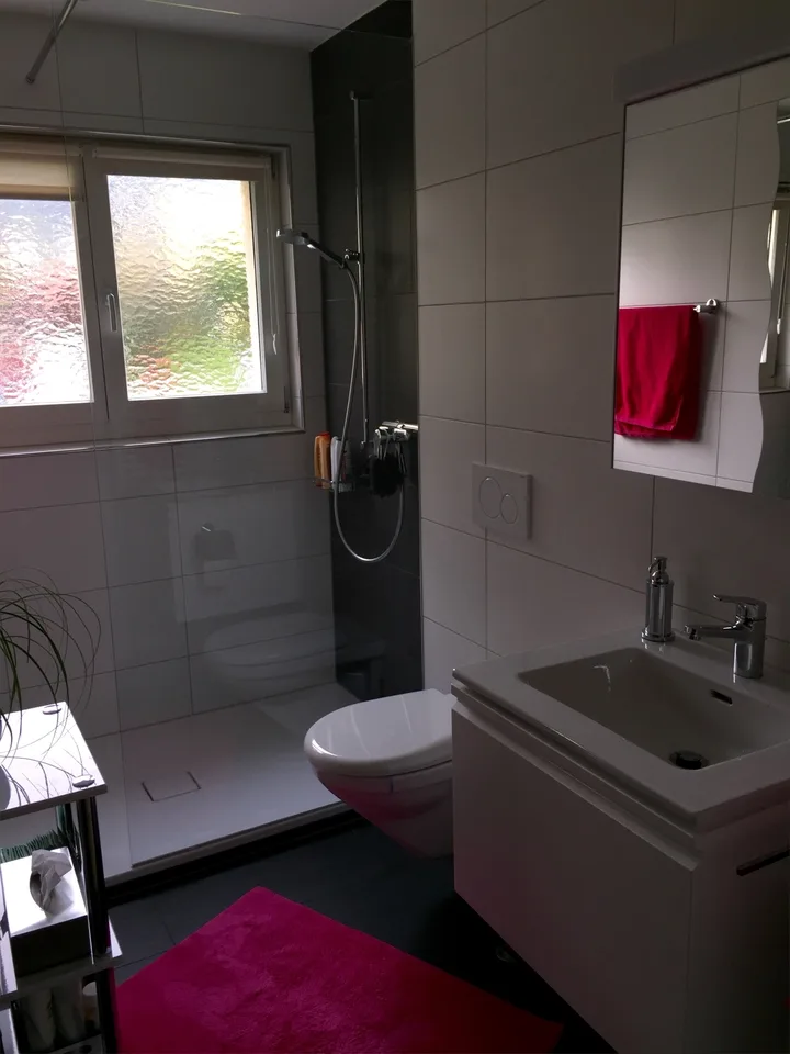 Schön renovierte 4-Zimmer Wohnung im Grünen an guter Lage