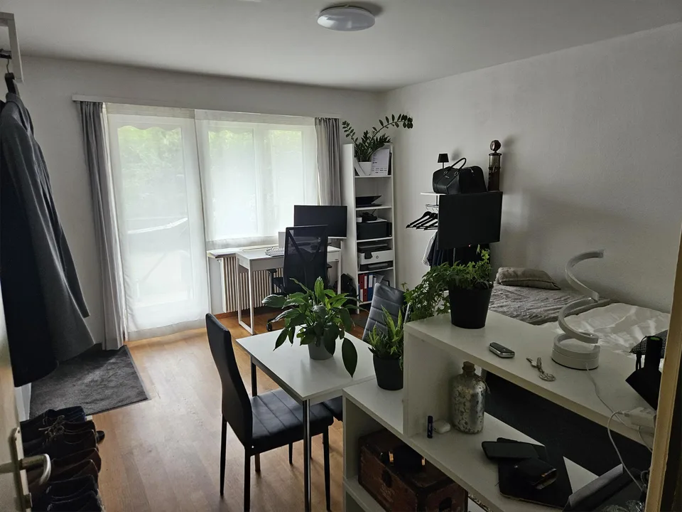 Studio mit traumhafter Aussicht an ruhiger Lage, Küssnacht