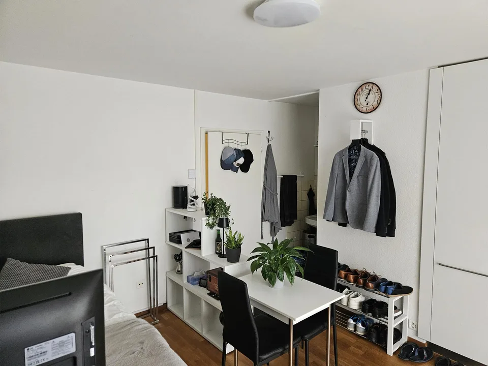 Studio mit traumhafter Aussicht an ruhiger Lage, Küssnacht