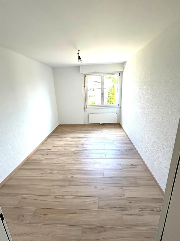 KOMPLETT RENOVIERTE 3.5-Zimmer-Wohnung / completely renovated 3.5 app.