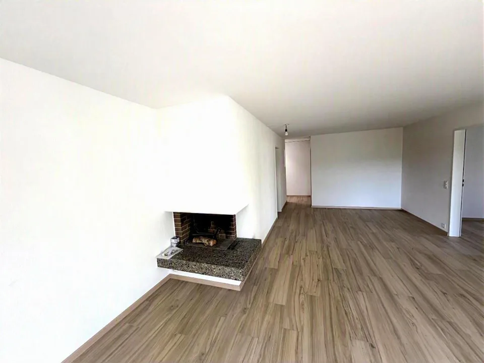KOMPLETT RENOVIERTE 3.5-Zimmer-Wohnung / completely renovated 3.5 app.