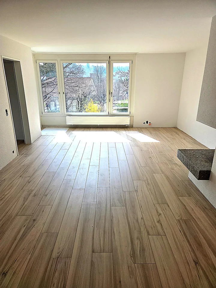 KOMPLETT RENOVIERTE 3.5-Zimmer-Wohnung / completely renovated 3.5 app.