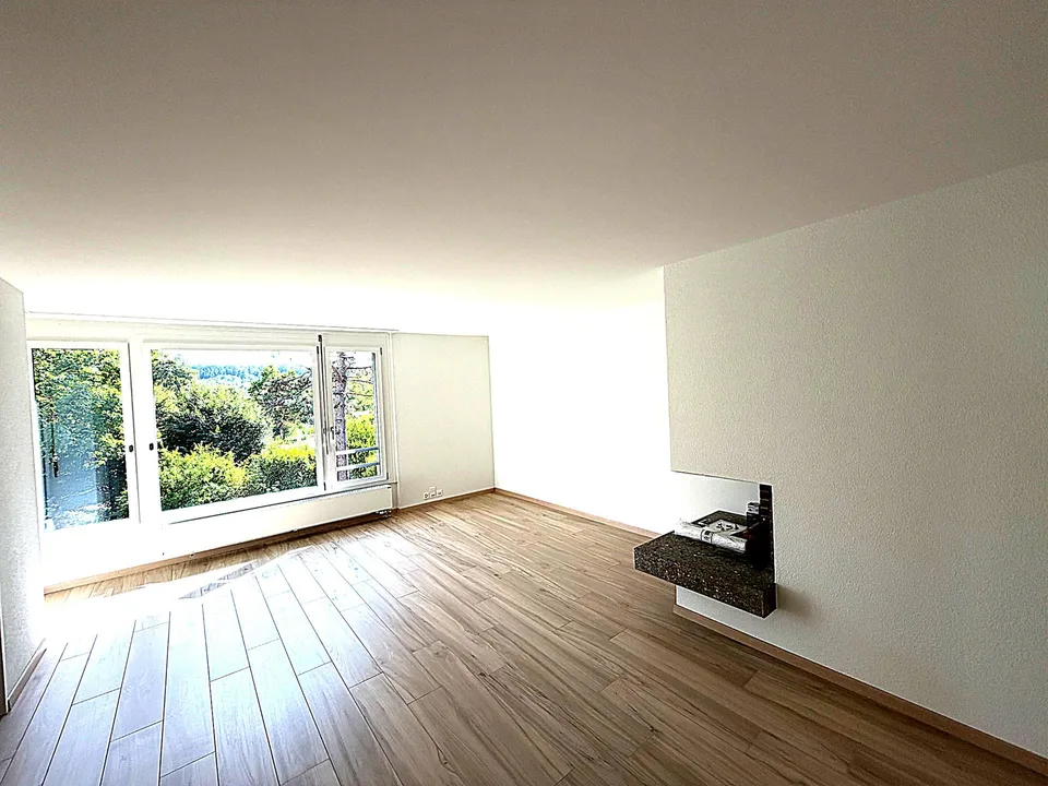 KOMPLETT RENOVIERTE 3.5-Zimmer-Wohnung / completely renovated 3.5 app.