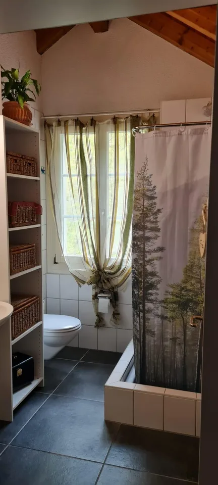 2.5-Zimmer-Dachwohnung in Amsteg zu vermiete